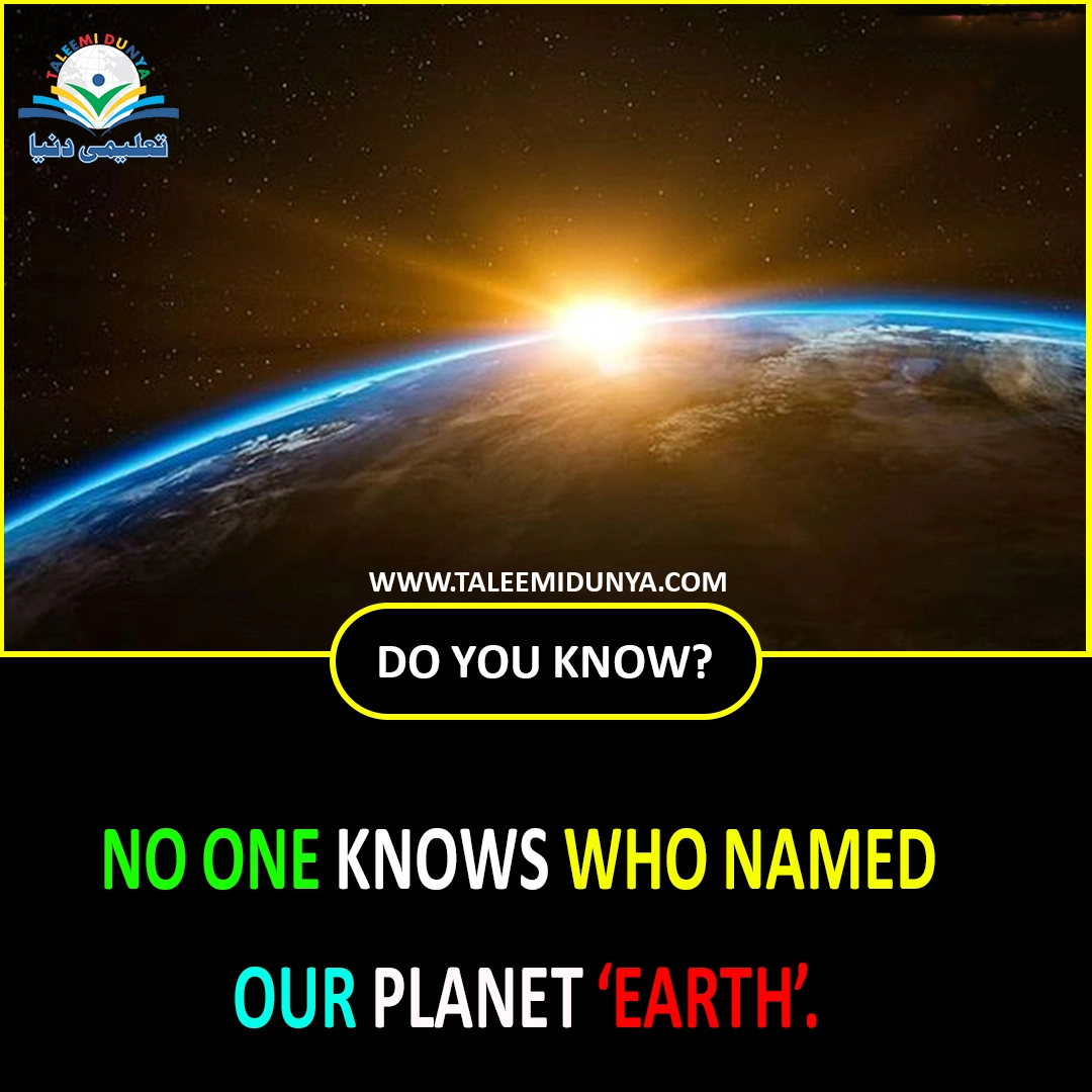 Plannet Earth